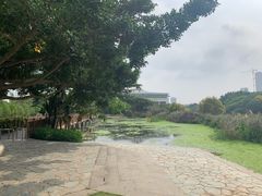 -五缘湾湿地公园