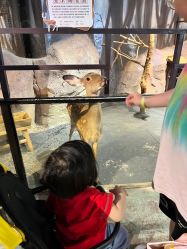 -酷嗒动物文化乐园(cutezoo西溪乐天城店)