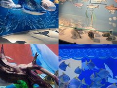 -烟台海昌鲸鲨海洋公园