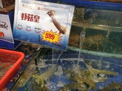 水产区-东江海鲜酒家(客村店)