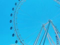-日照海滨国家森林公园