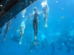-瑞德姆美人鱼海底演艺主题餐厅(亚龙湾店)