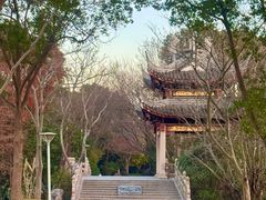 -长广溪湿地公园
