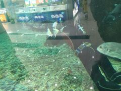 -鸿通城购物中心