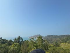 -广东惠东海龟国家级自然保护区