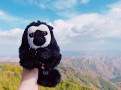 -苏木山森林公园