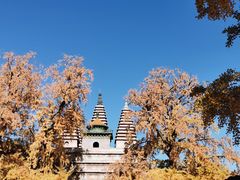 -北京石刻艺术博物馆(五塔寺)