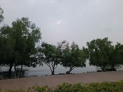 -宝安西湾红树林湿地公园