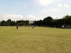 -凤岭儿童公园