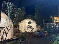 -张鸟园农家乐(张鸟园店)