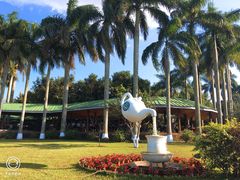 -侯臣咖啡文化村