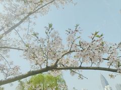 -西北湖绿化广场