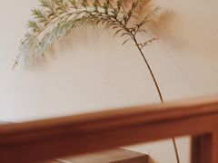 -HOLIDAY休日(后田垟巷店)