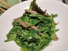 -北平盛世·新京菜·北京烤鸭(劲松·双井店)