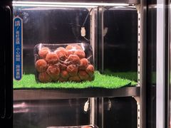 -捞王猪肚鸡火锅(财富中心店)