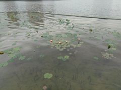 -南宁南湖公园
