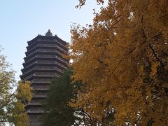 -玲珑塔公园