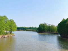 -上海海湾国家森林公园