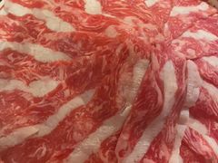 -小龙坎火锅(全球旗舰店)