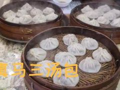 羊肉汤包-清真马三汤包(回民街店)