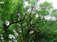 -溪口-滕头旅游景区