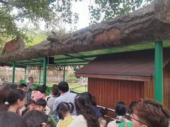 -盈香心动乐园