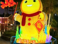 -海合安成都极地海洋公园
