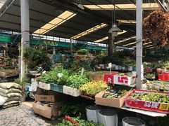 -曲阳花鸟市场(曲阳路店)