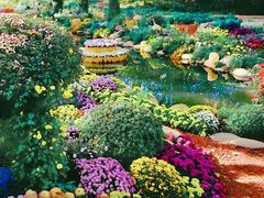 -上海共青森林公园