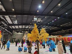 -宁波冰雪大世界(北仑区)