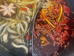 -钢管厂五区小郡肝火锅串串香(清河店)