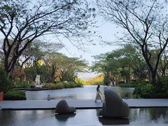 -瑰丽酒店·海吧·天际下午茶·现场DJ·天台酒吧