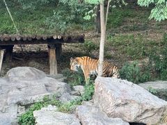 -宁波野生动物园