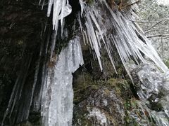 -龙苍沟森林公园