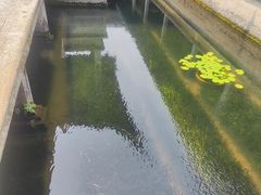 -兰亭风景区