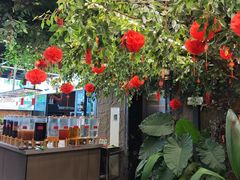 -野菌皇海景野生菌火锅(滨海大道店)