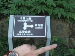 -紫金山山顶公园
