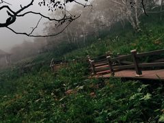 -凤凰山国家森林公园