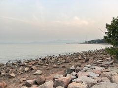 -深圳湾公园(南山区)