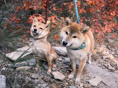 -龙洞风景区-藏龙涧