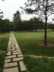 -大望京儿童游乐场