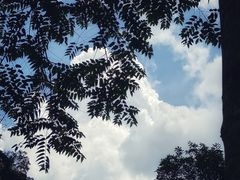 -广州市石门国家森林公园