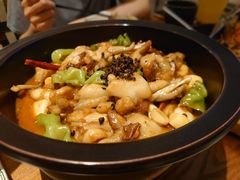 黑松露牛肝菌焖牛蛙-云海肴·汽锅鸡·云南菜(苏州中心店)