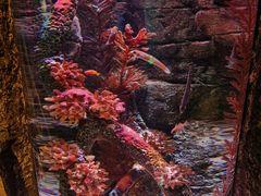 -沈阳海洋探索中心