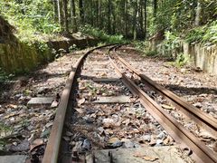 -九龙江国家森林公园