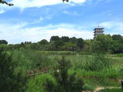 -Supine Bistro溯泮餐厅