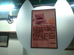 -猫咪博物馆(顶澳仔猫街店)