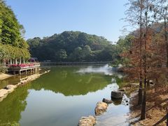 -广州市帽峰山景区