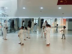 -极真空手道修远道场