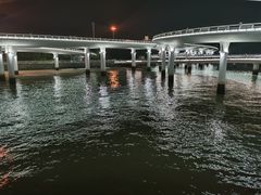 -演武大桥观景平台